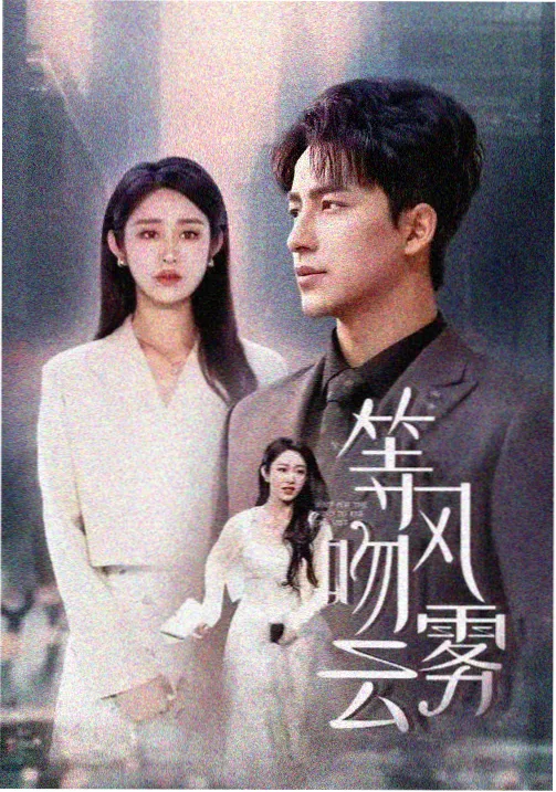 欧美剧《双面陪审团》海报